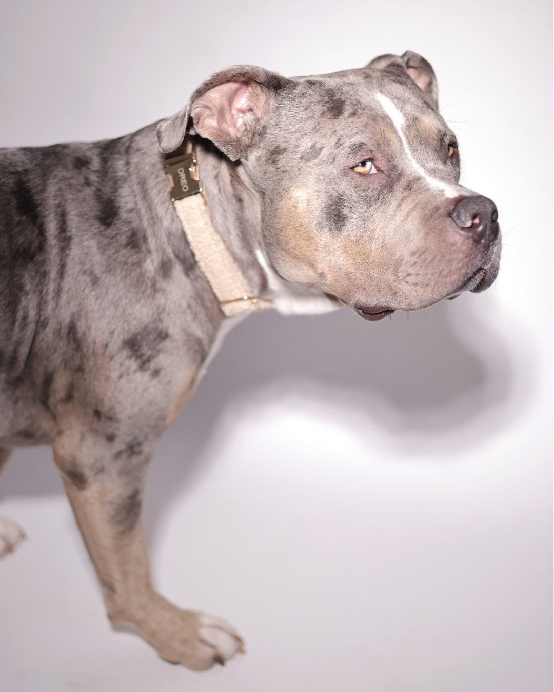 Personalisiertes Set | Teddy Bouclé