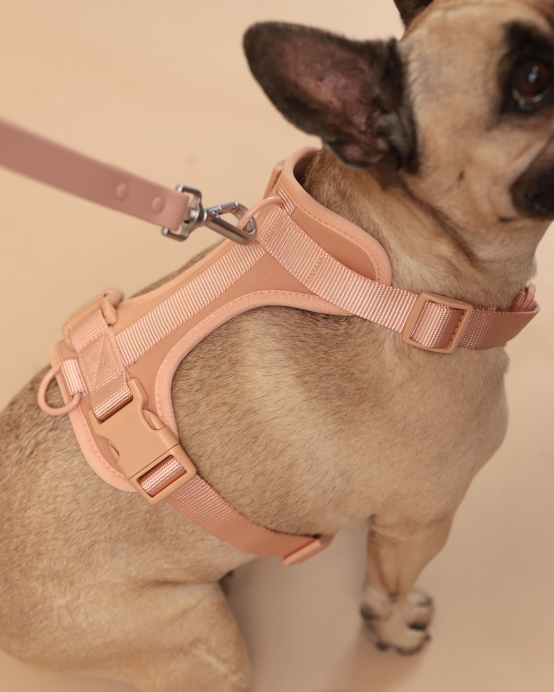 ALL-WEATHER ESSENTIAL Geschirr