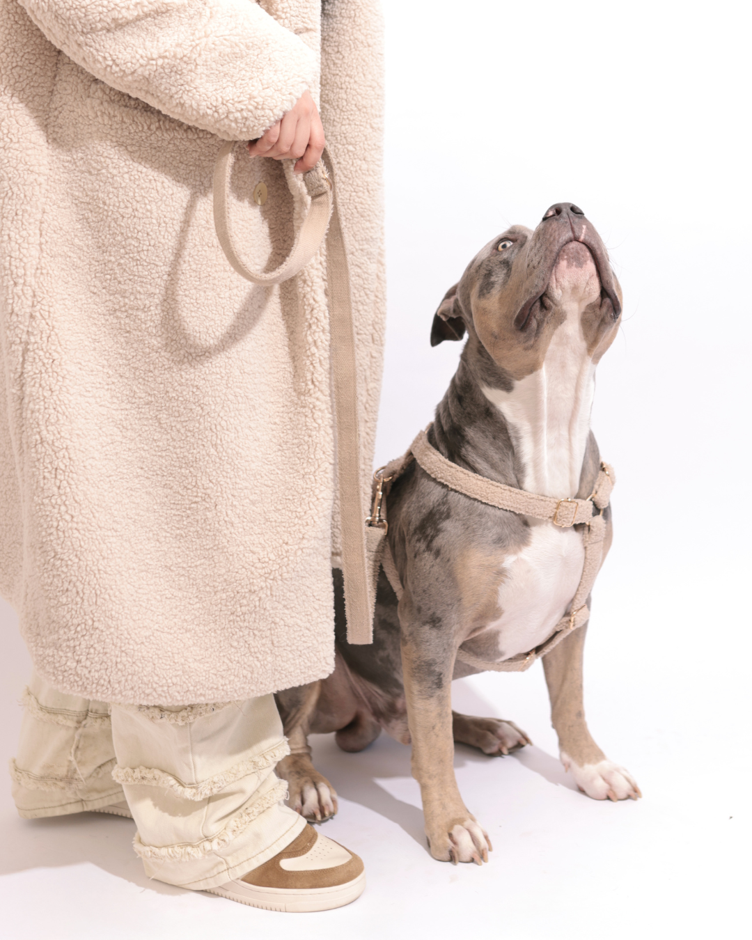 Personalisiertes Komplett-Set | Teddy Bouclé