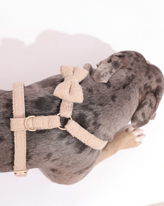Personalisiertes Komplett-Set | Teddy Bouclé