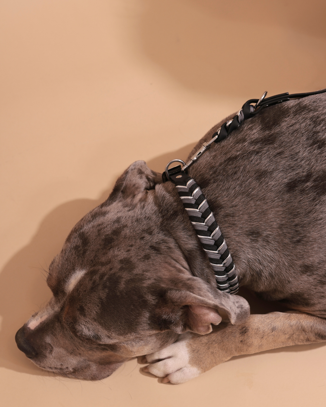 Waterproof Set | Everyday Elegance