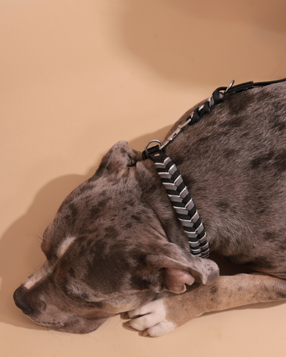 Waterproof Set | Everyday Elegance