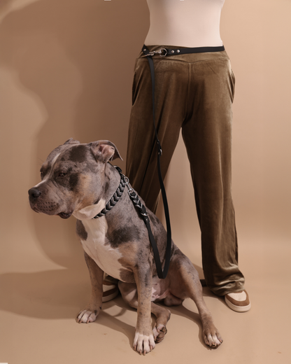 Waterproof Set | Everyday Elegance