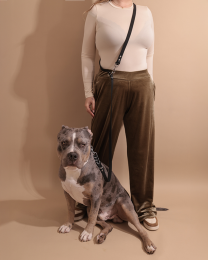 Waterproof Set | Everyday Elegance