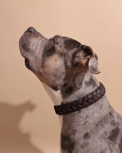 Halsband | Echtleder