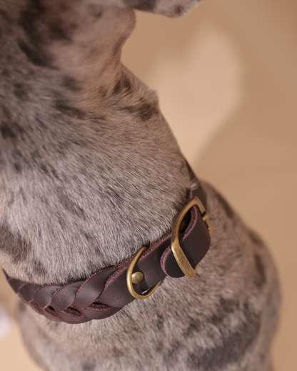 Halsband | Echtleder