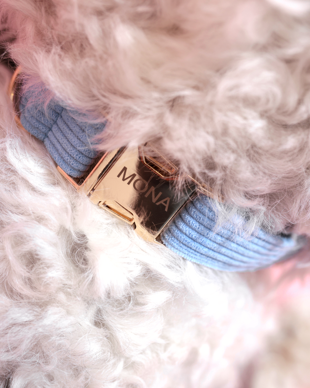 Personalisiertes Set | Cozy Cord