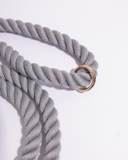 Leine | Twist & Shine