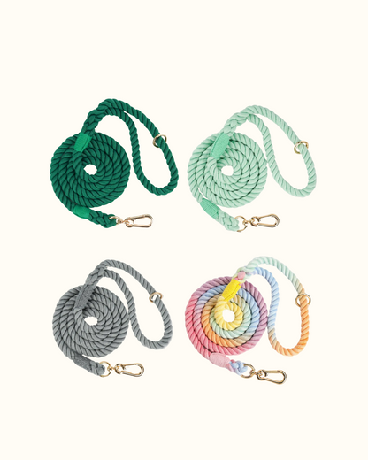 Leine | Twist & Shine