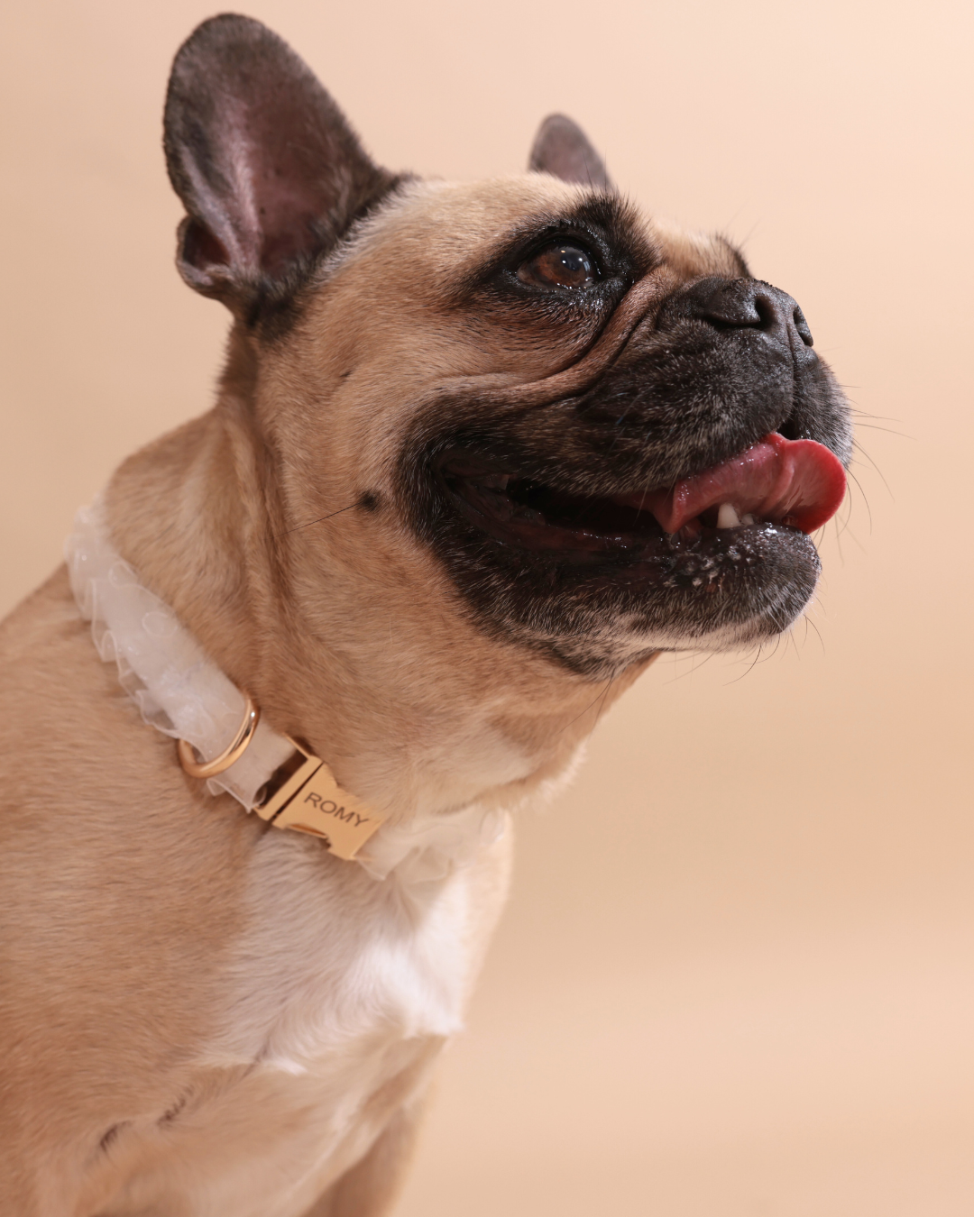 Lace Love | Halsband Set mit Gravur WEDDING EDITION