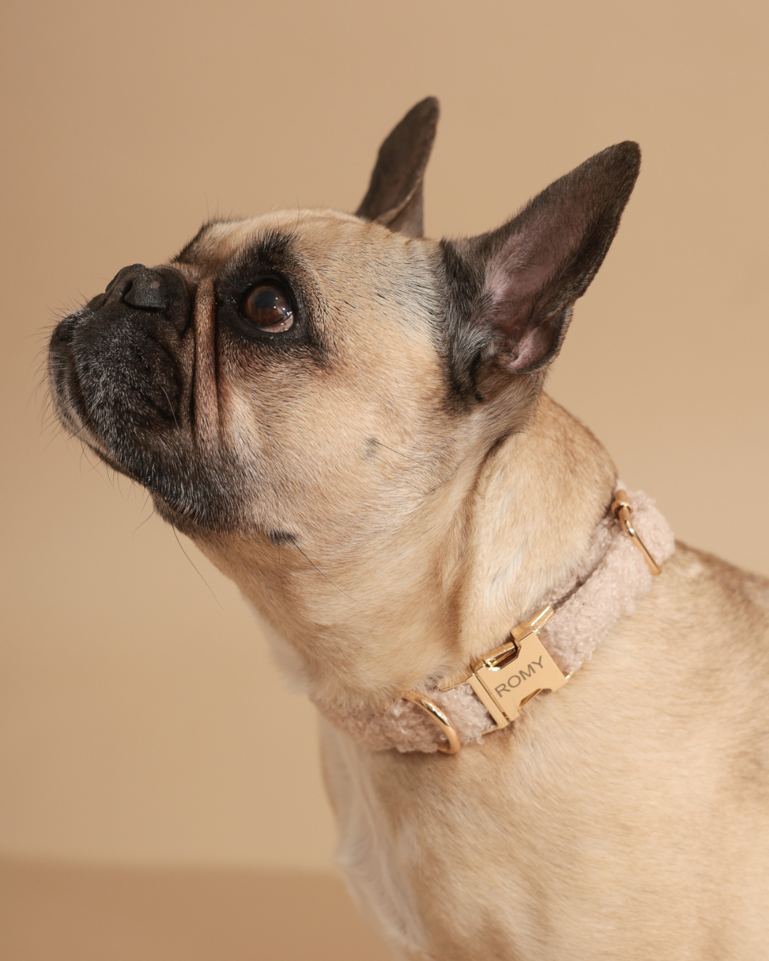 Personalisiertes Halsband | Teddy Bouclé