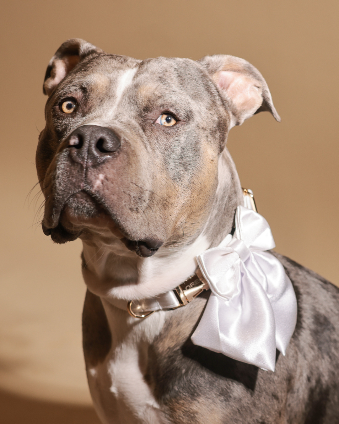 Silk Love | Halsband Set mit Gravur - WEDDING EDITION