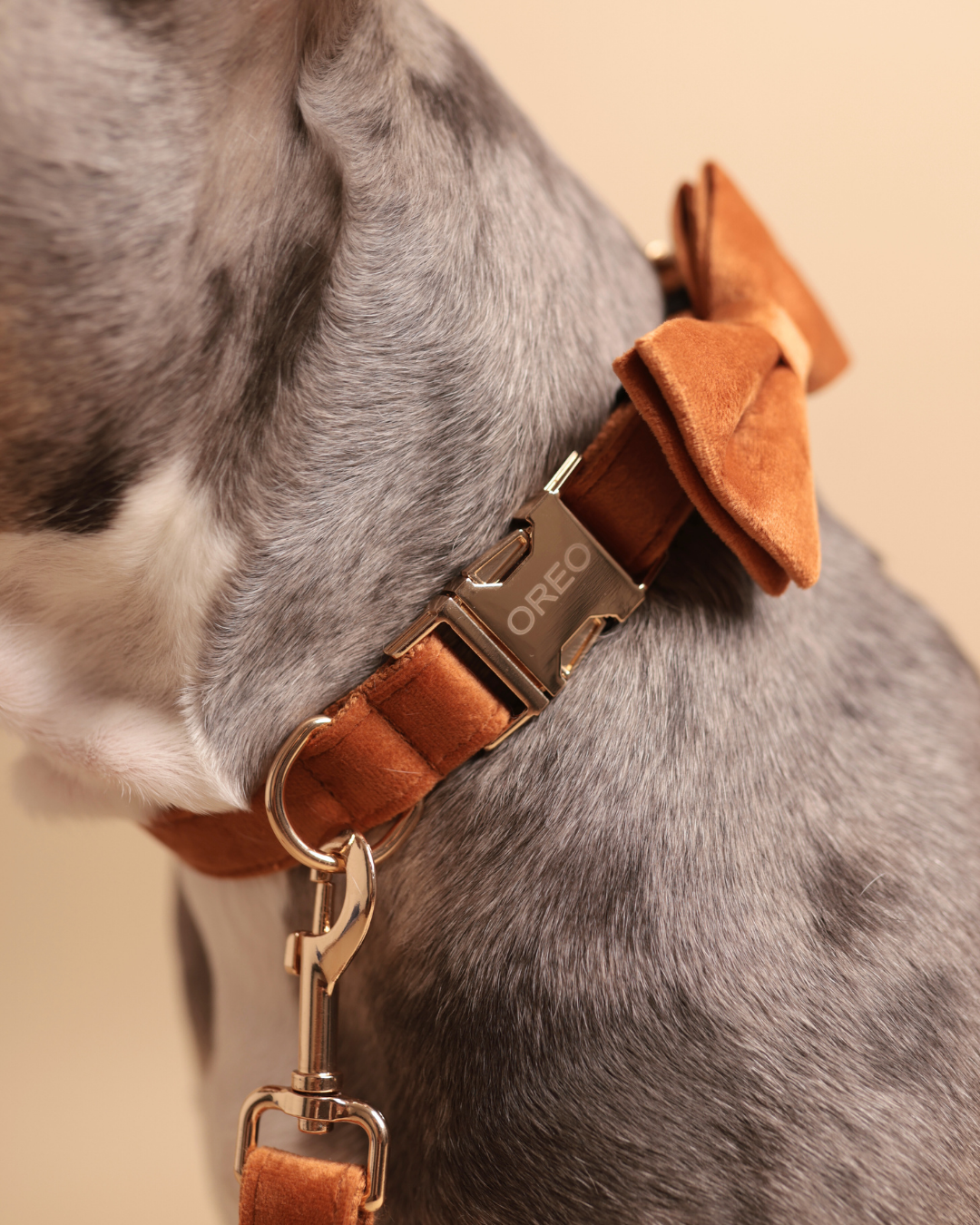 Personalisiertes Halsband | Velvet Touch