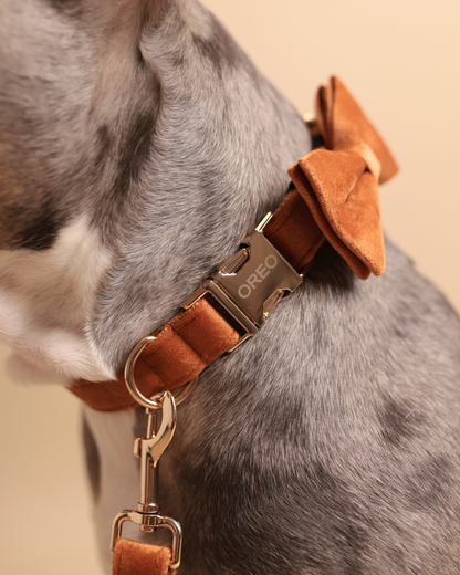 Halsband | Velvet Touch
