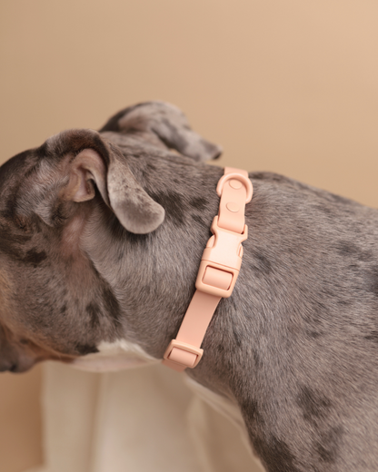 Waterproof Essential Halsband | nude