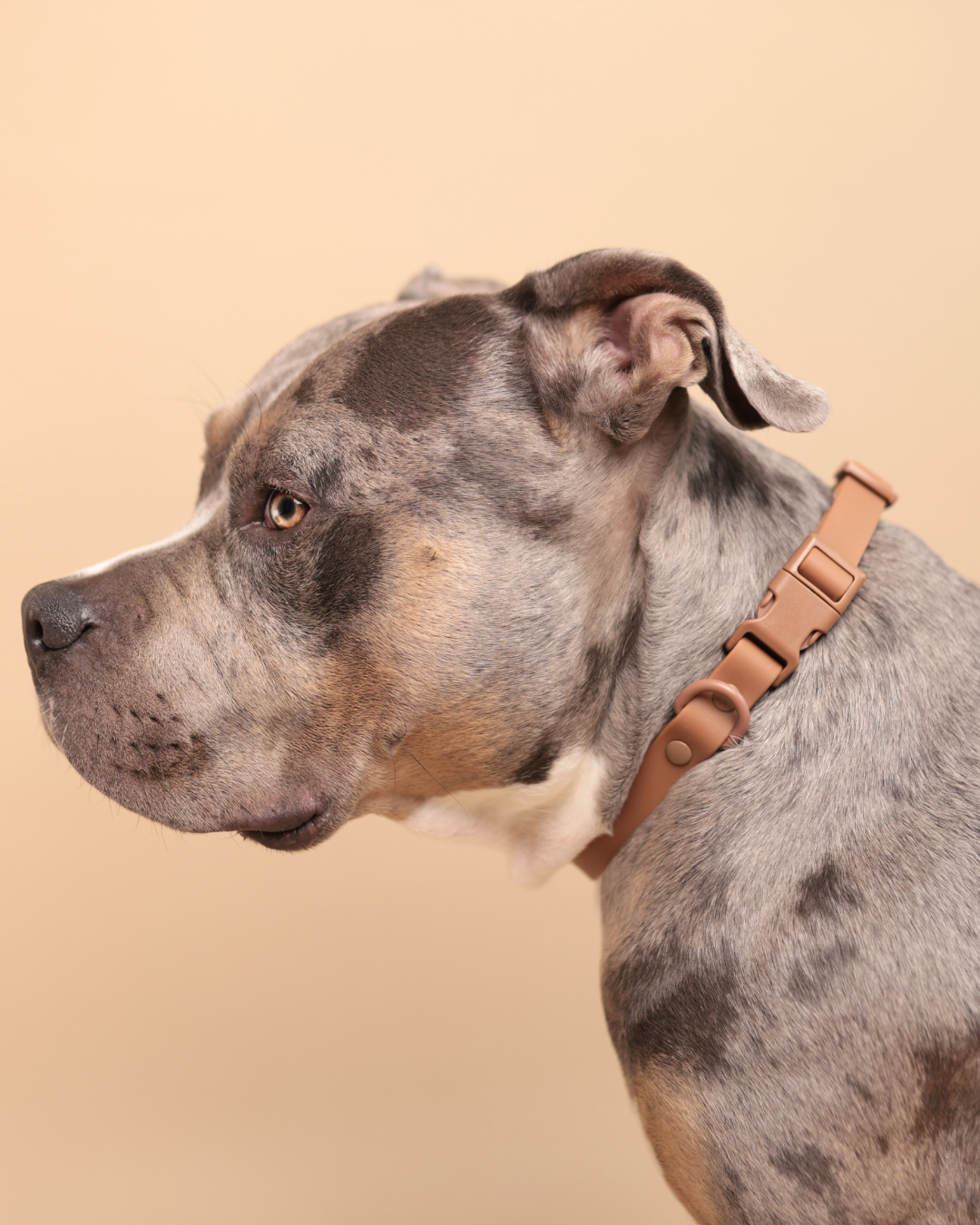 Waterproof Essential Set – Peanutbutter