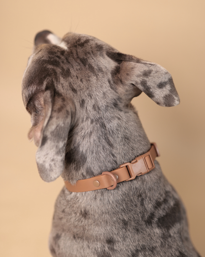 Waterproof Essential Set – Peanutbutter