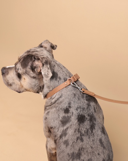 Waterproof Essential Set – Peanutbutter