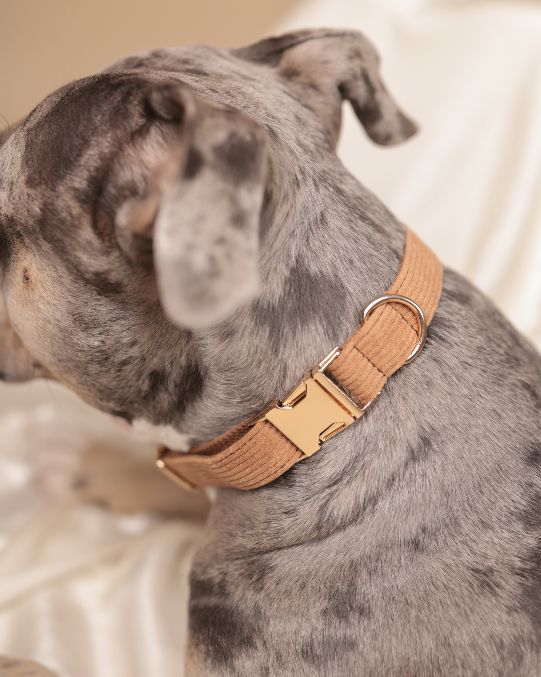 Personalisiertes Set | Cozy Cord + Poop Bag