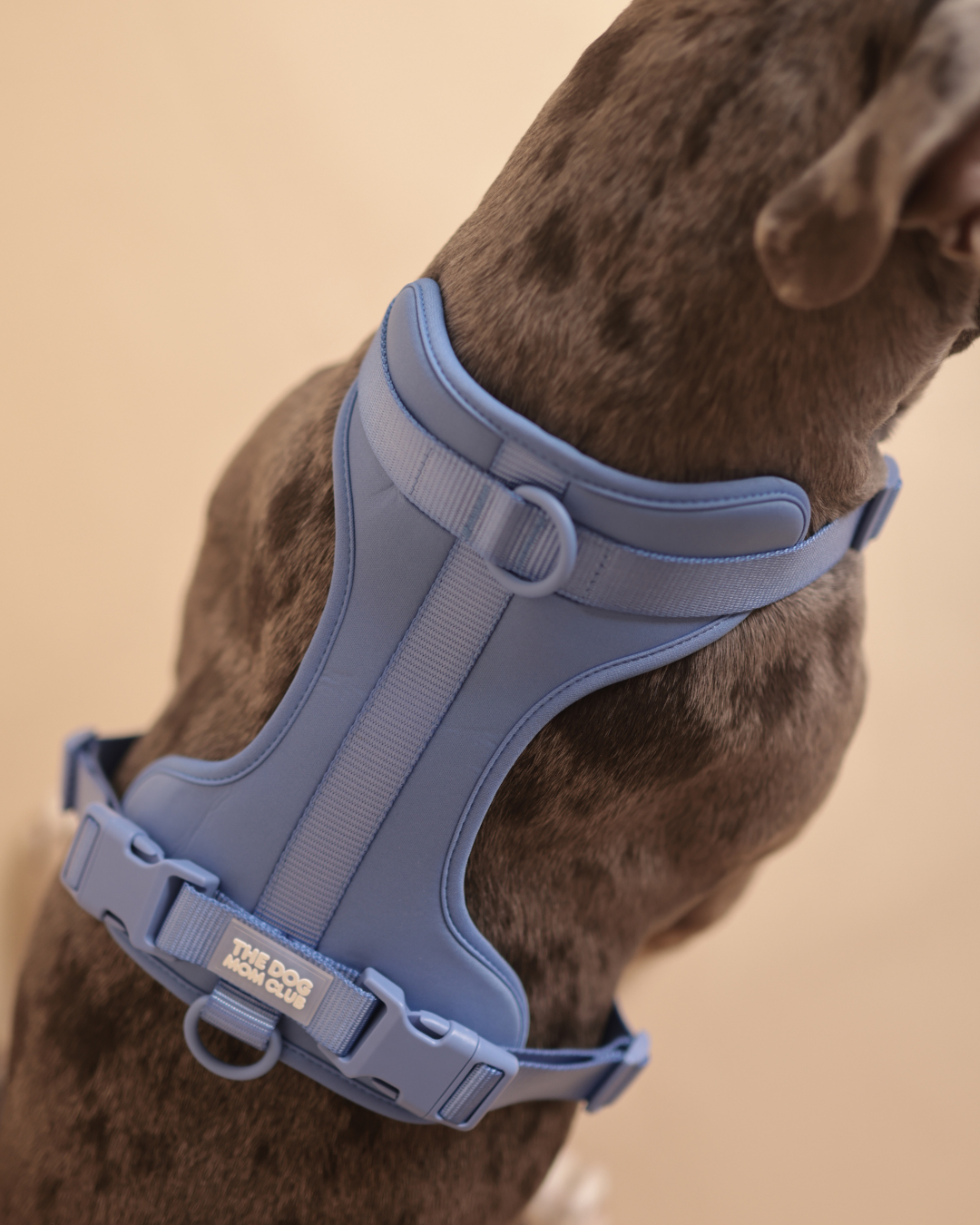 ALL-WEATHER ESSENTIAL Geschirr