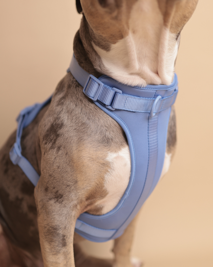 ALL-WEATHER ESSENTIAL Geschirr