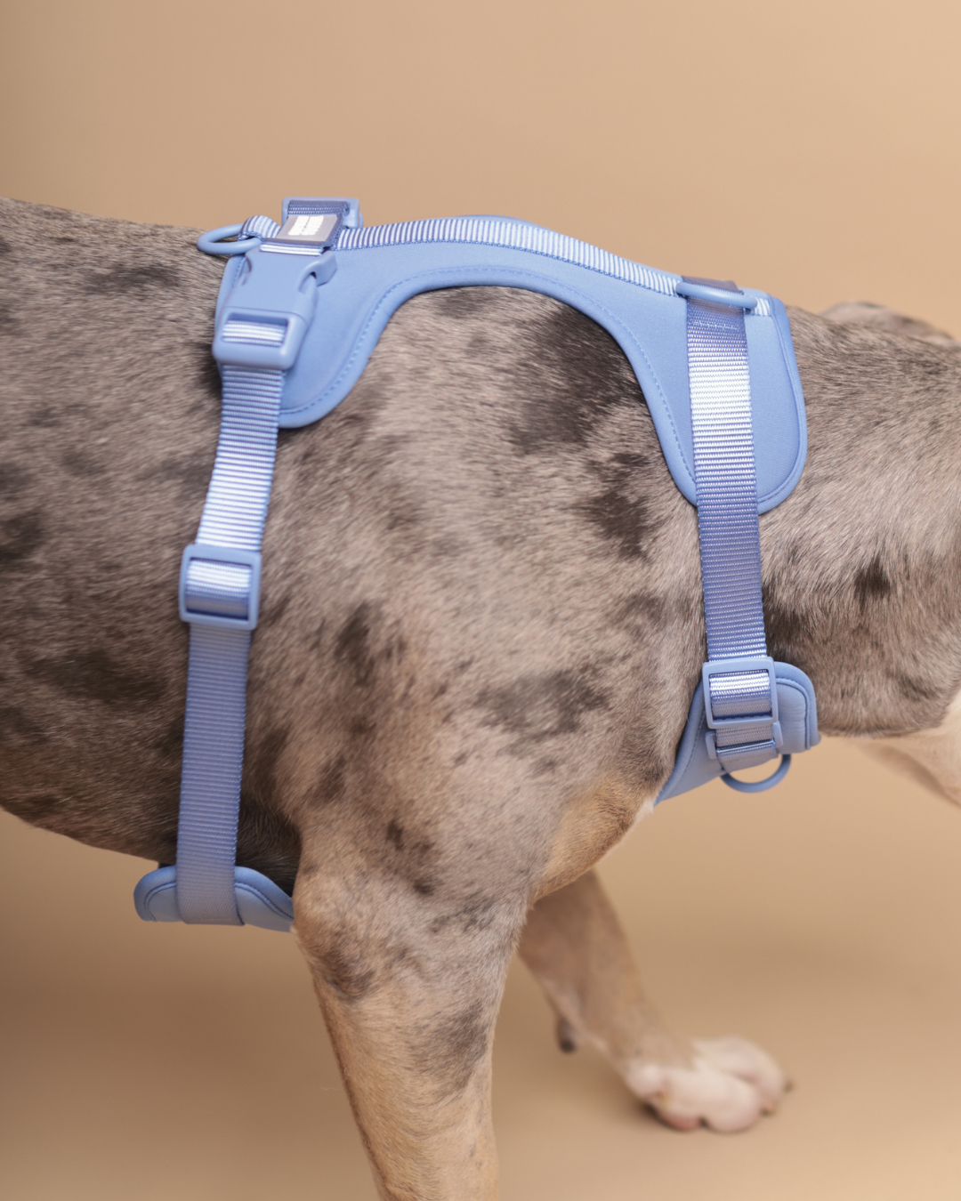 ALL-WEATHER ESSENTIAL Geschirr