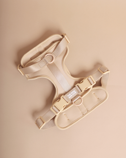 ALL-WEATHER ESSENTIAL Geschirr