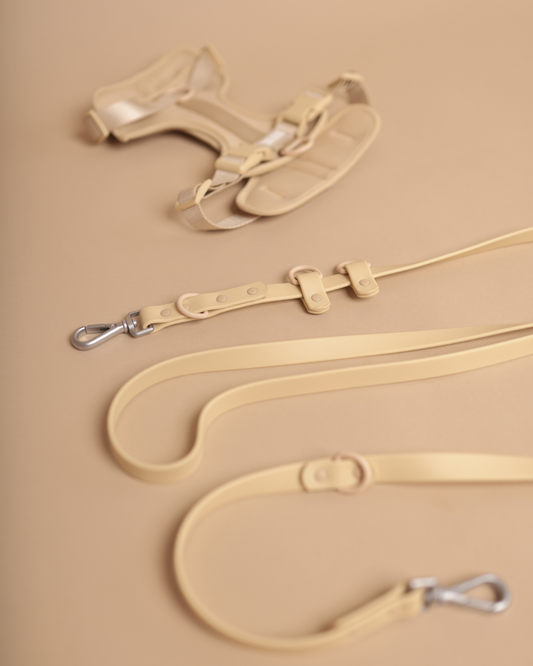 ALL-WEATHER ESSENTIAL Leine