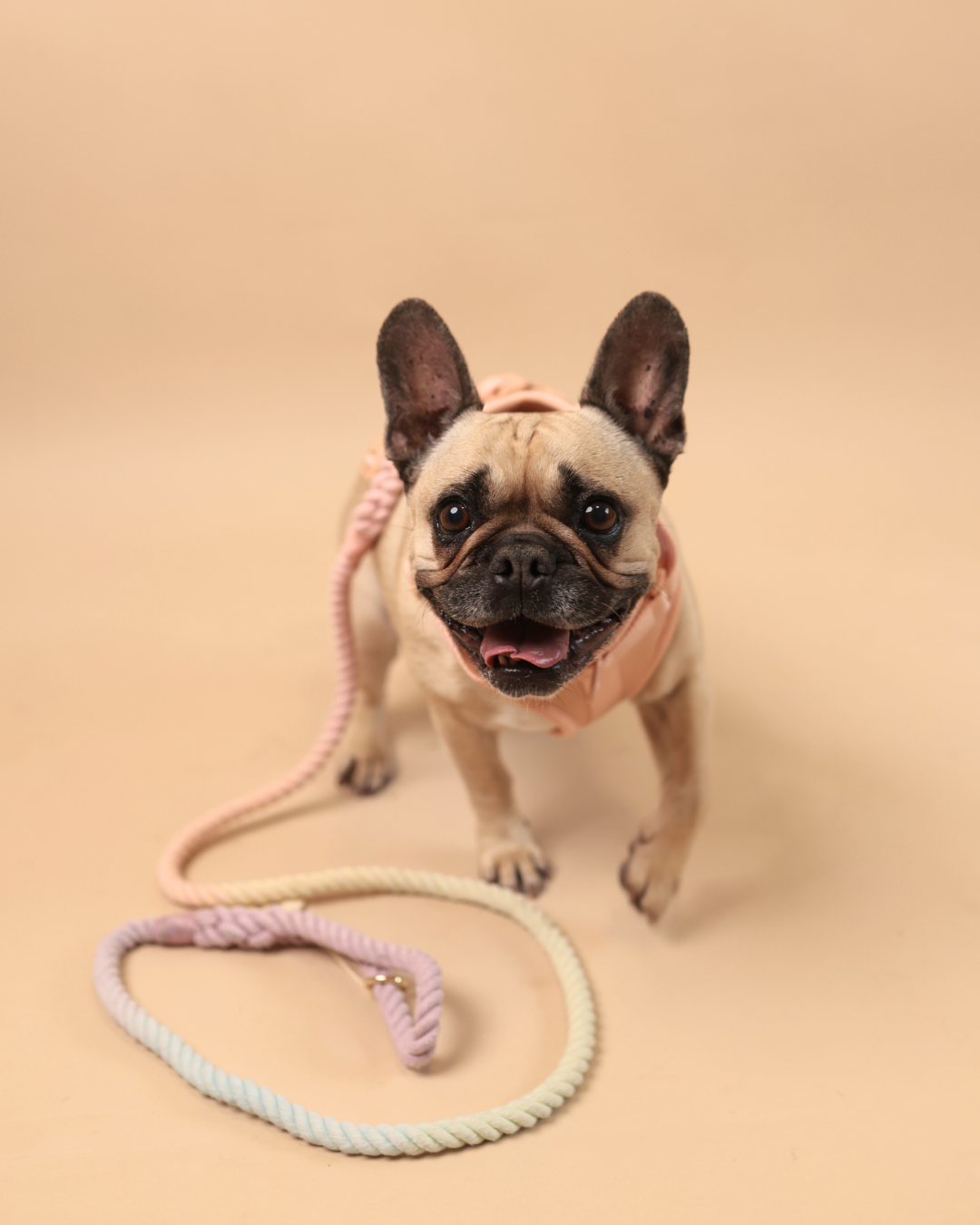 ALL-WEATHER ESSENTIAL Geschirr