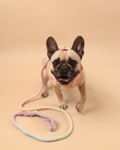 ALL-WEATHER ESSENTIAL Geschirr