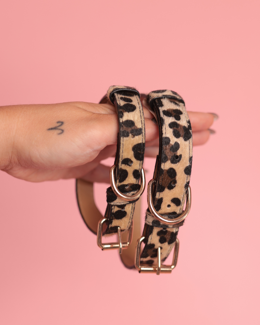 Wild Touch | limited edition