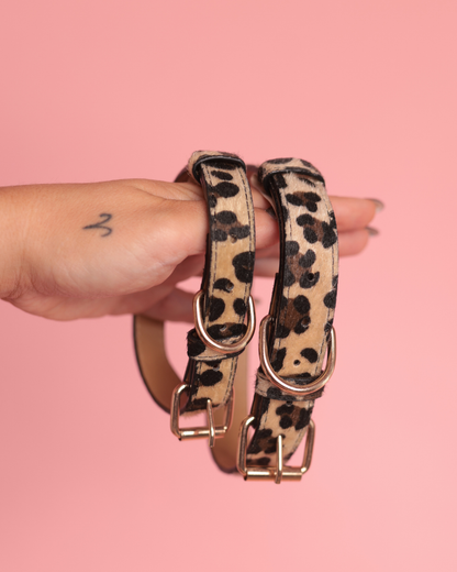 Wild Touch | limited edition