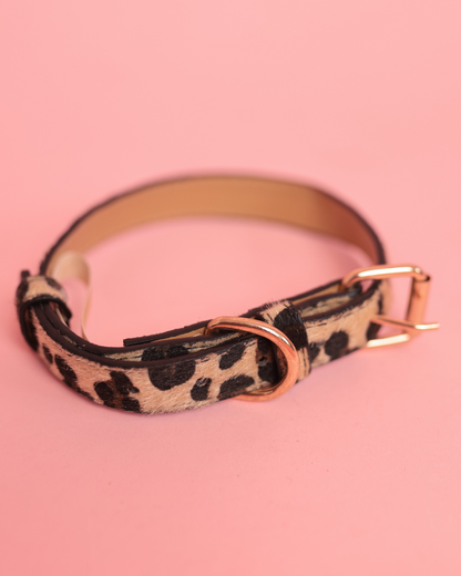 Wild Touch | limited edition