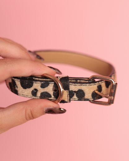 Wild Touch | limited edition