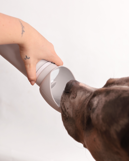 Faltbare Silikon-Trinkflasche