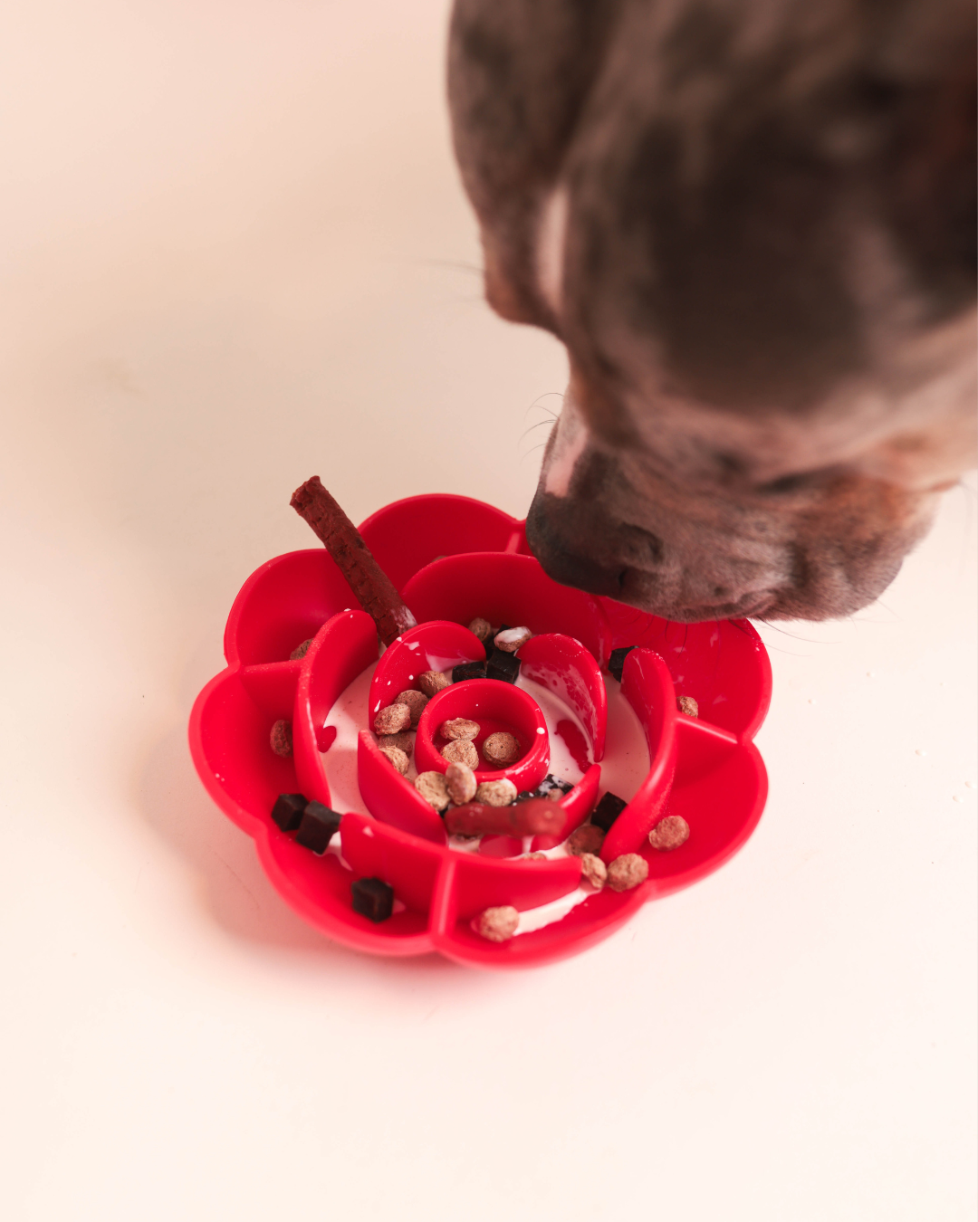 Blossom Bowl | Slow Feeder