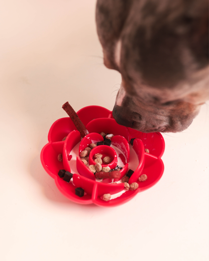 Blossom Bowl | Slow Feeder