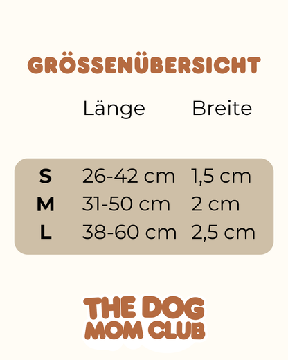 Waterproof Essential Set