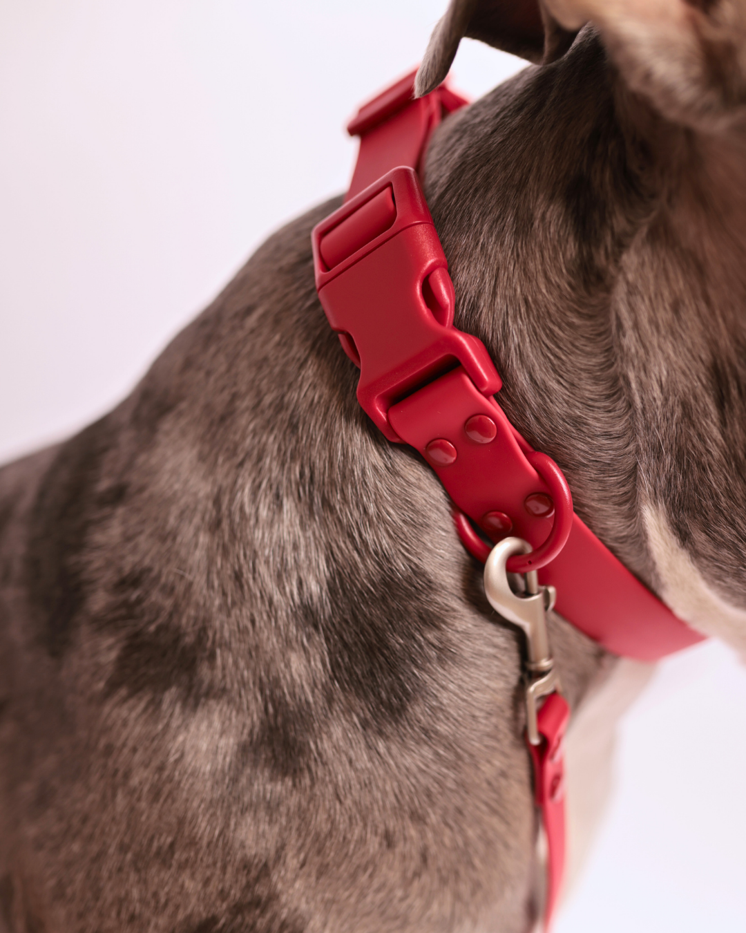 Waterproof Essential Set