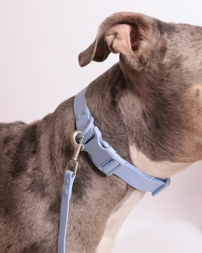 Waterproof Essential Set