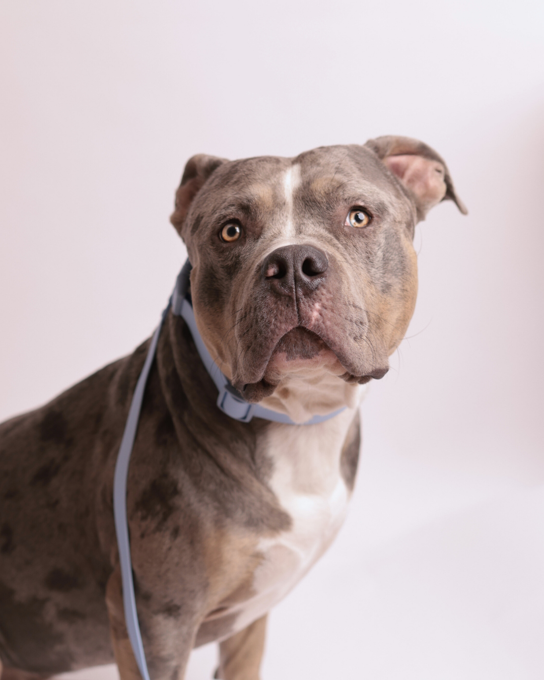 Waterproof Essential Set