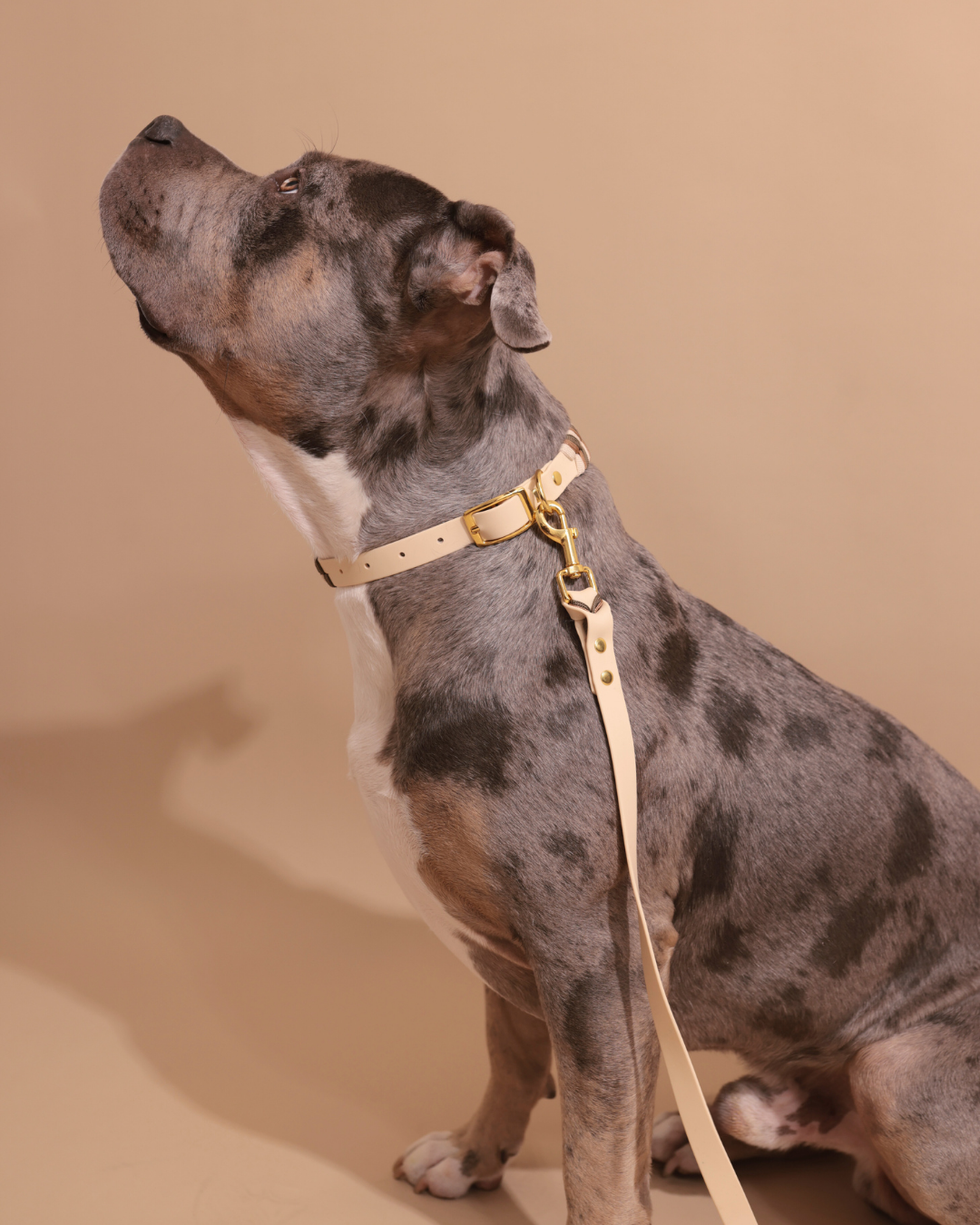 Waterproof Set | Everyday Elegance