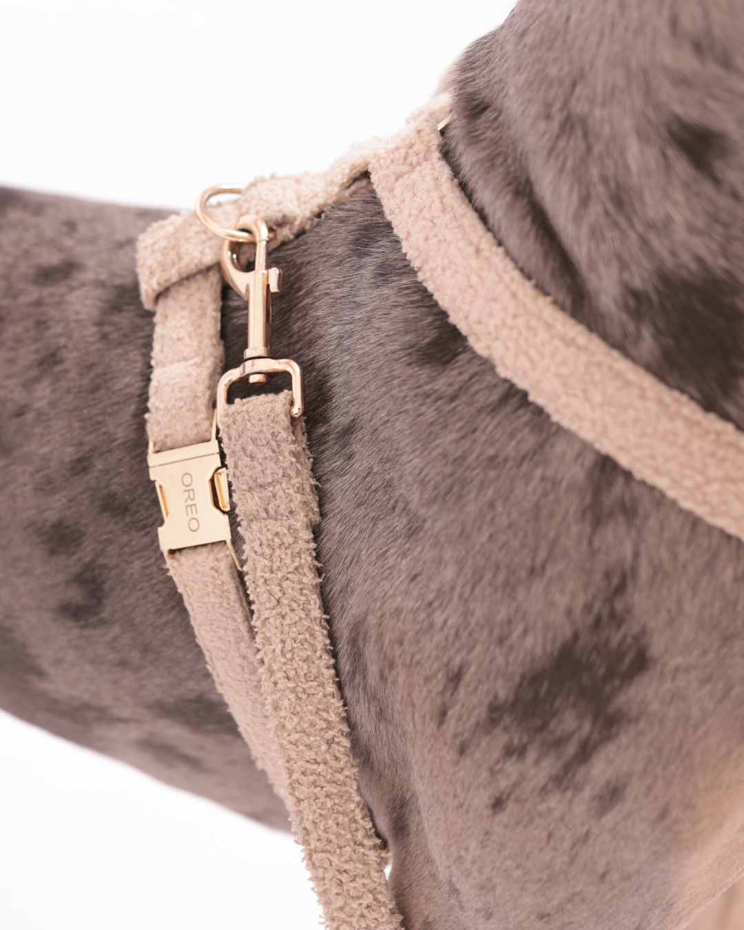 Personalisiertes Hundegeschirr | Teddy Bouclé