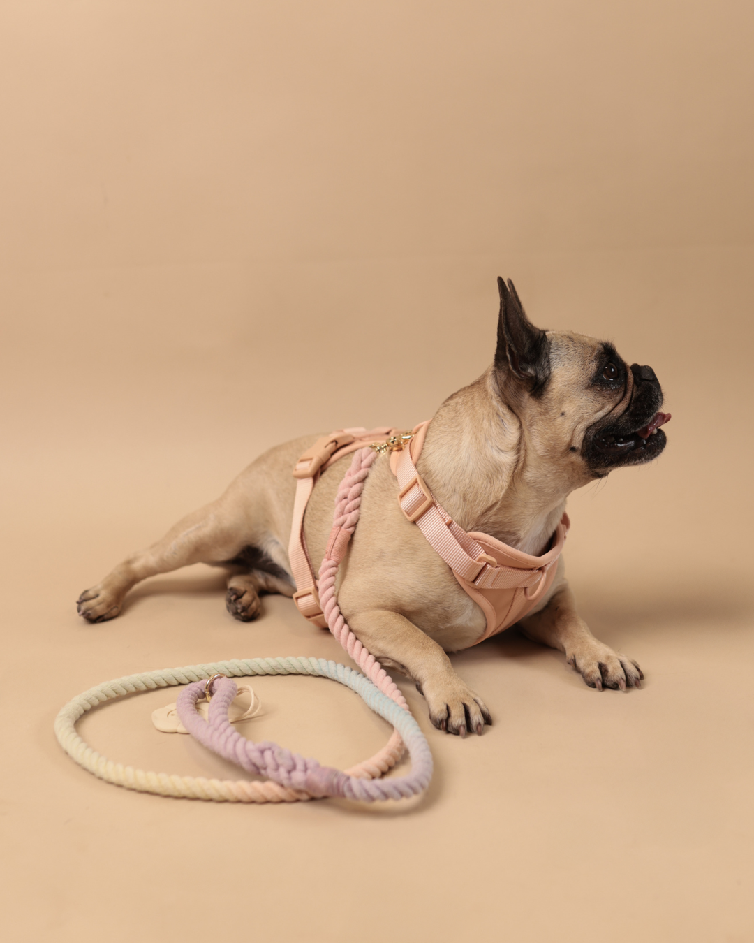 ALL-WEATHER ESSENTIAL Geschirr